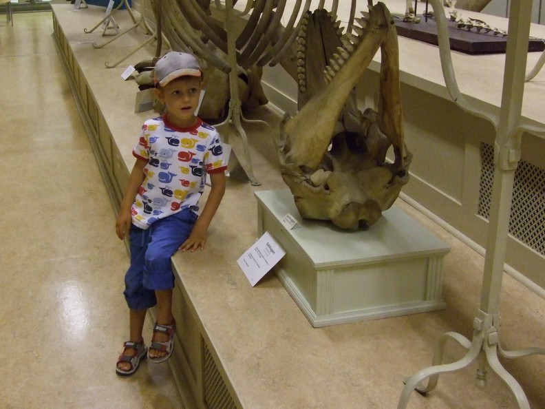 zoolog