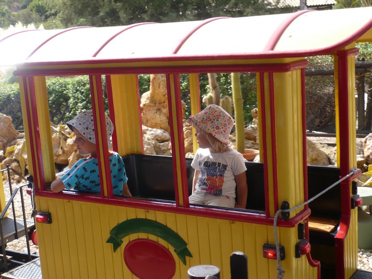 vagn